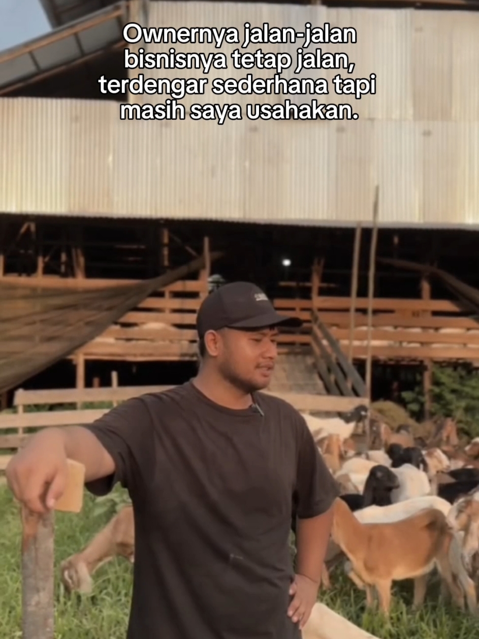 jangan takut tidak berhasil , takutlah untuk tidak memulai. 😊 . . . #kambingkalbar #kambingpontianak #kambingetawa #kambing #kambingqurban #kalimantanbarat #kambingaqiqah #boergoat #cmt_farm #peternakmuda #sobatngaret #fypシ #fypreels #masukberanda #kambingjawarandu #peternakindonesia #peternakmilenial #reelsinstagram #reels #fypviral #fypdong #fakesituation⚠️ #trending 