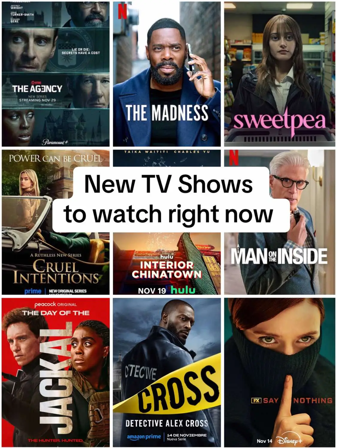 There so much TV shows to watch right now these are the ones you need to watch right now! The agency and the jackal are spy/espionage thrillers and sweetpea is dark comedy starting Ella Purnell. The madness is thriller with Colman Domingo! Cross is a murder mystery featuring the character of Alex Cross. Interior Chinatown is a nice comedy-drama! #tvshows #tvshow #whattowatch #tvshowstowatch #tvshowrecommendation #newtvshow 