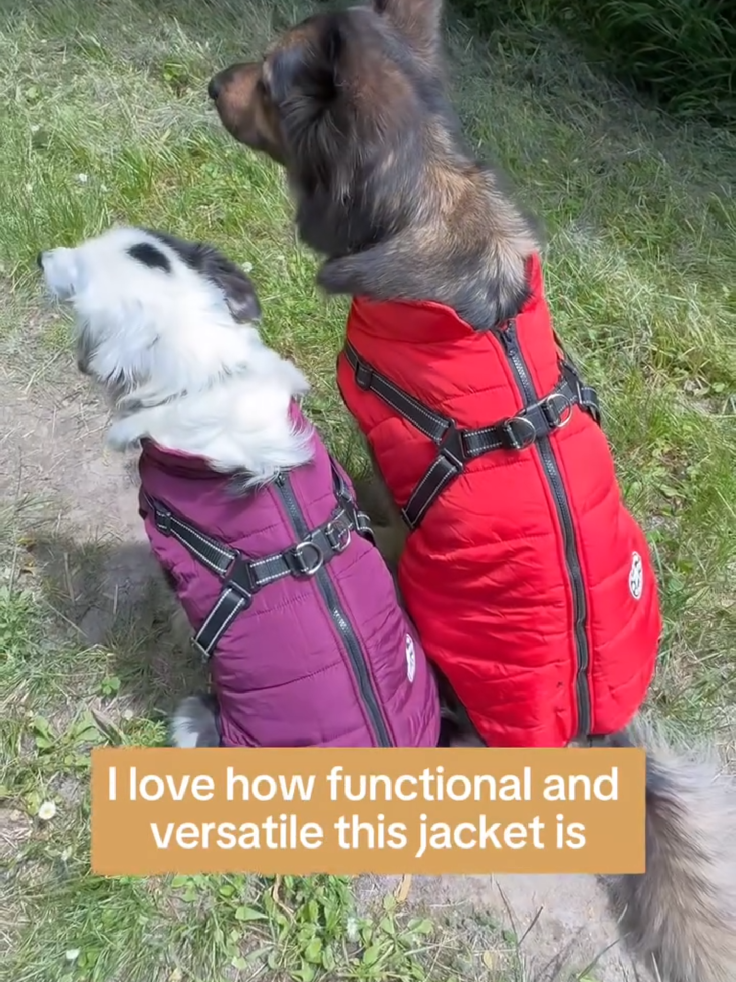 🐕Keep your furry friend warm this winter with our Waterproof Dog Jacket❤️ ✔️Built-in Harness ✔️Easy On & Off ✔️WaterProof / WindProof ✔️Warm and Cozy