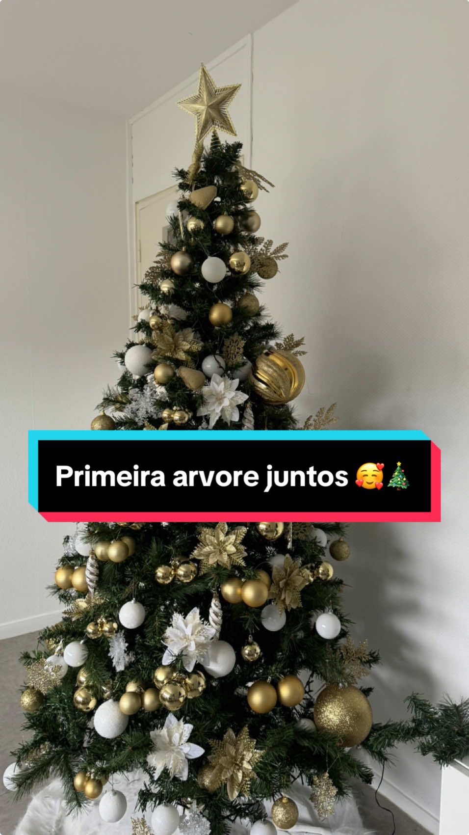 A primeira árvore de Natal que montamos juntos, será o nosso primeiro Natal na nossa casa, este ano não começamos da melhor maneira possível mas com Deus tudo é possível e estamos a terminá-lo como deu quis. Quero agradecer a Deus por todas as bênçãos e que ele não largue a nossa mão nunca e que nós continuemos a ser fiel a ele também. Cada detalhe deste vídeo carrega o nosso amor, a nossa simplicidade, a nossa sintonia e o que não pode faltar a nossa doidice porque é assim que nós somos. Deus é fiel e justo em tudo que faz 🎄🥰🌲@Mr_Tatudobem 🇬🇼 