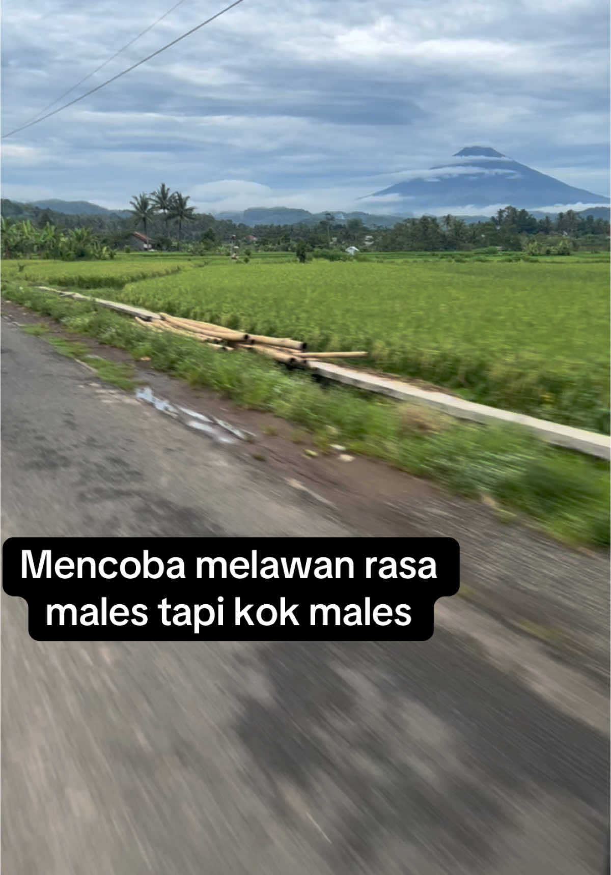 Mencoba melawan males tapi males #jowopride #jowostory #jawapride #TikTokAwardsID