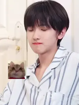 Một bé mèo dễ thương #tffamily #tf家族四代 #tfgiatộcf4 #zuoqihan #zqh #tảkỳhàm #左奇函 