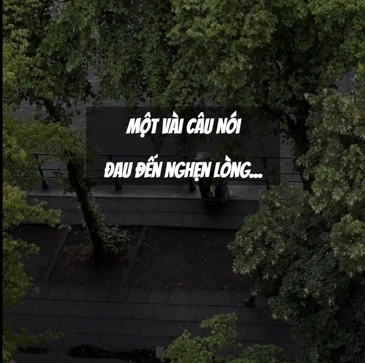 Khi bạn mang một trái tim tử tế và thiện lành, bạn không đánh mất ai cả. Họ đánh mất bạn... #iseeyou #trichdanhay #suutam #truongthanh #nhungcaunoichuanhieuany #nhacnhobanthan #nhungcaunoidangsuyngam #captiondaulong 