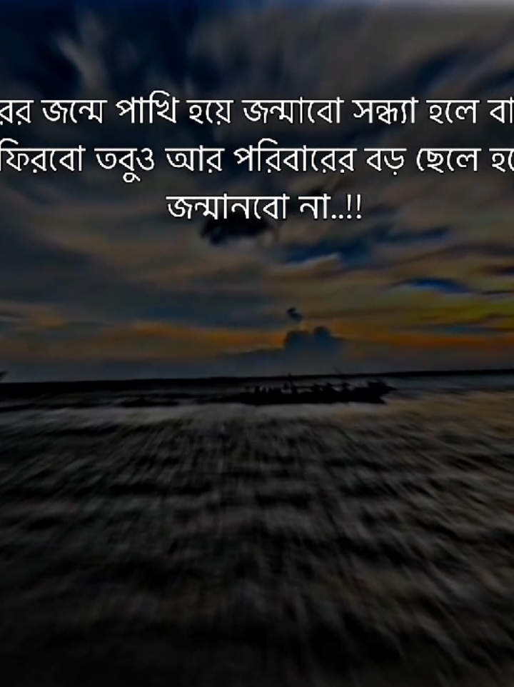 পরের জন্মে পাখি হয়ে জন্মাবো সন্ধ্যা হলে বাসায় ফিরবো তবুও আর পরিবারের বড় ছেলে হয়ে জন্মানবো না..!! #foryou #trand #sl_shuvo_official_69 #foryoupage