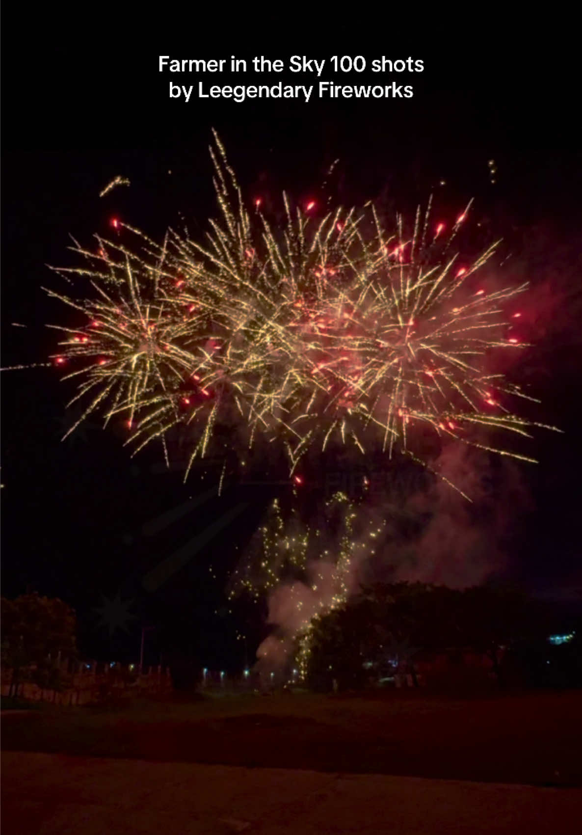 Farmer in the Sky 100s by Leegendary Fireworks #fireworks #LF #LeegendaryFireworks #FarmerInTheSky #NewYear #NewYear2024 #NewYear2025 #Paputok