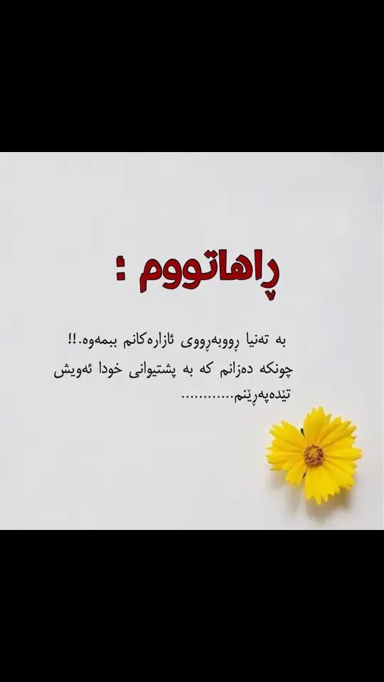 #CapCut #هەوێر_دهۆک_سولێمانی_هەلەبجە_کرکوک #kurdistan 