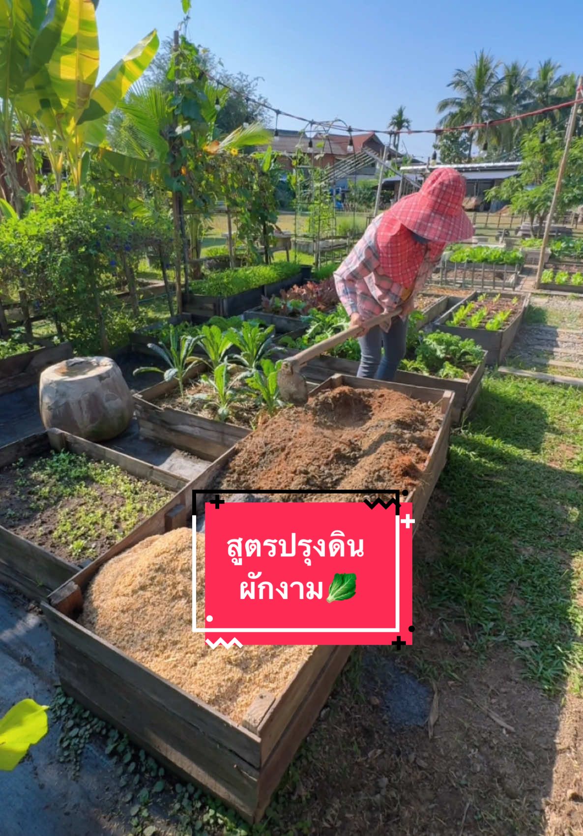 ปรุงดินปลูกผักกันจ้า🥬 #วลัยฟาร์ม #ความสุขในสวน🌈 #อิหล่าน้อยในเมืองเหนือ #ผู้หญิงทําสวน #ผักอินทรีย์ 