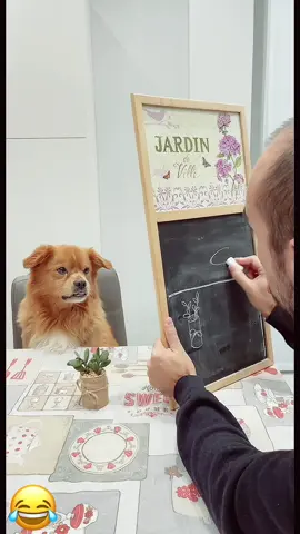 Sorry 😂🐕🇺🇸#pet #funny #dog #foryou #asmr 