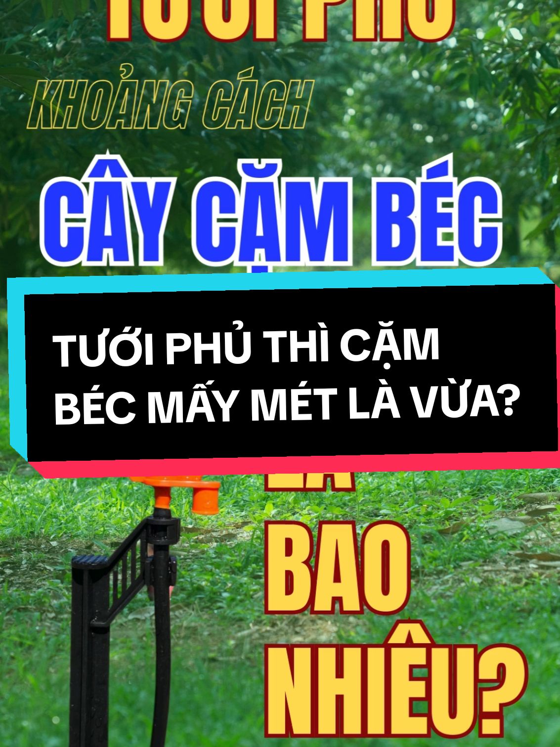 Khoảng cách béc tưới phủ bao nhiêu là hợp lý? #bectuoiphunmua #becphuntuoicay #phunthuoctudong #tuoitudong #kythuatmka #xuhuong 