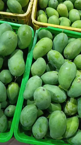 #manggasitubondo🥭 