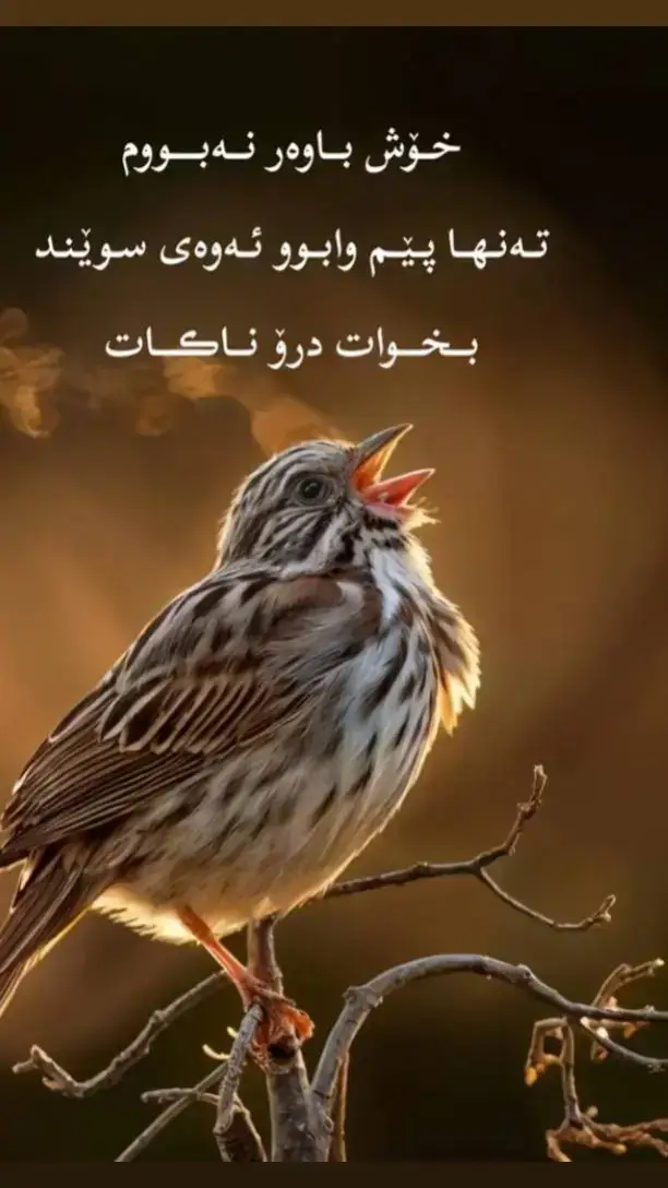 #ئەتیف_ســـــــــفرە😊💔 #شاری______سۆران🤍🥀💎 #هەریر_مەسیف_کۆڕێ_خەلیفان #هەوڵیر_کەرکوک_سڵیمانی_دهۆک_ 