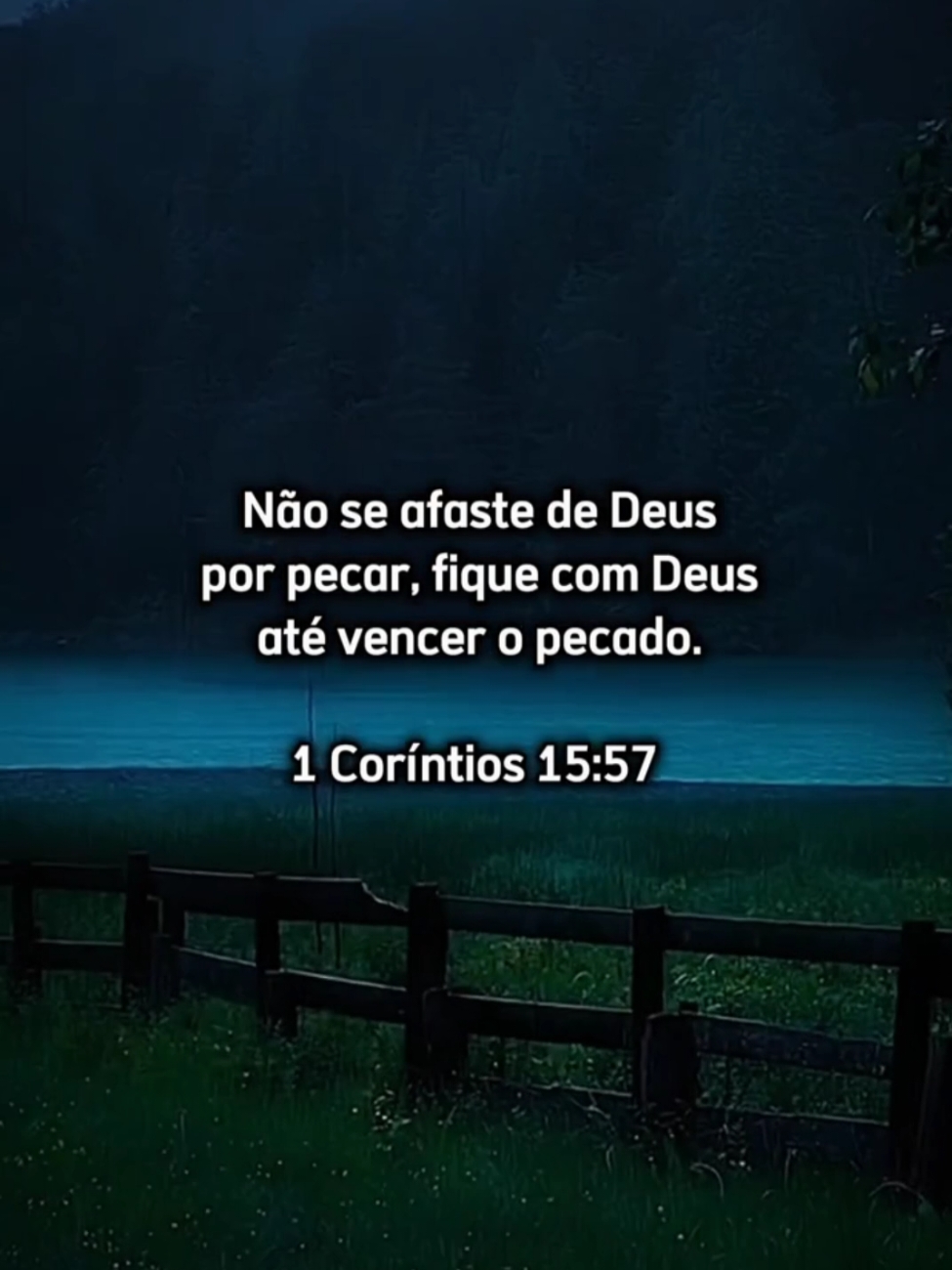 Amém #reflexao #motivação #frasesinspiradoras #gratidao #frases #Deus #viral #fyp 