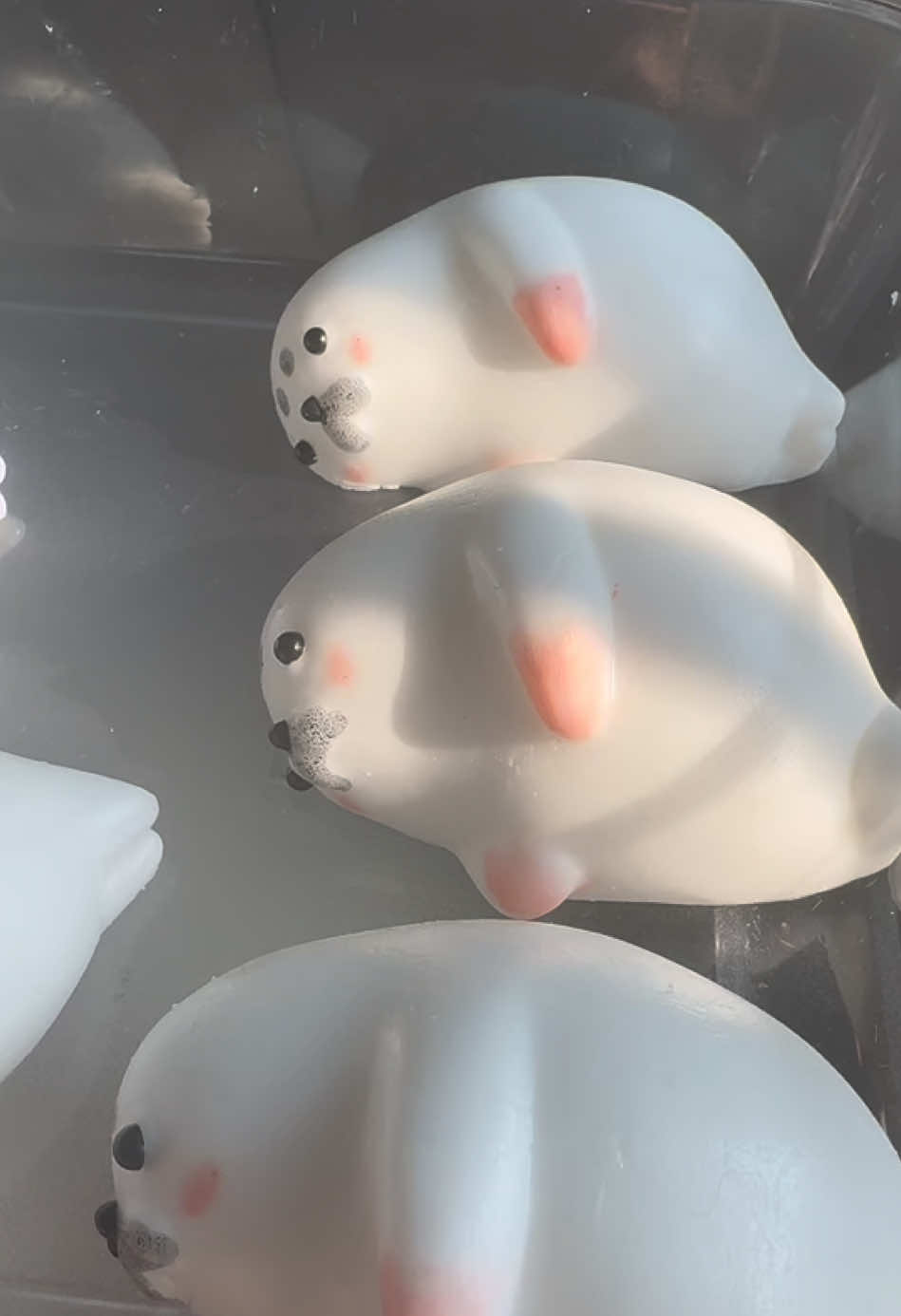 Flocked seal with mr asmr#tabasquishy #squishy #stressedout #stressfree #squishymaker #decompression #cute #seal #sealife 