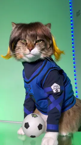 Meowguru Bachira⚽️#bluelock #bachirameguru #bachiramegurucosplay