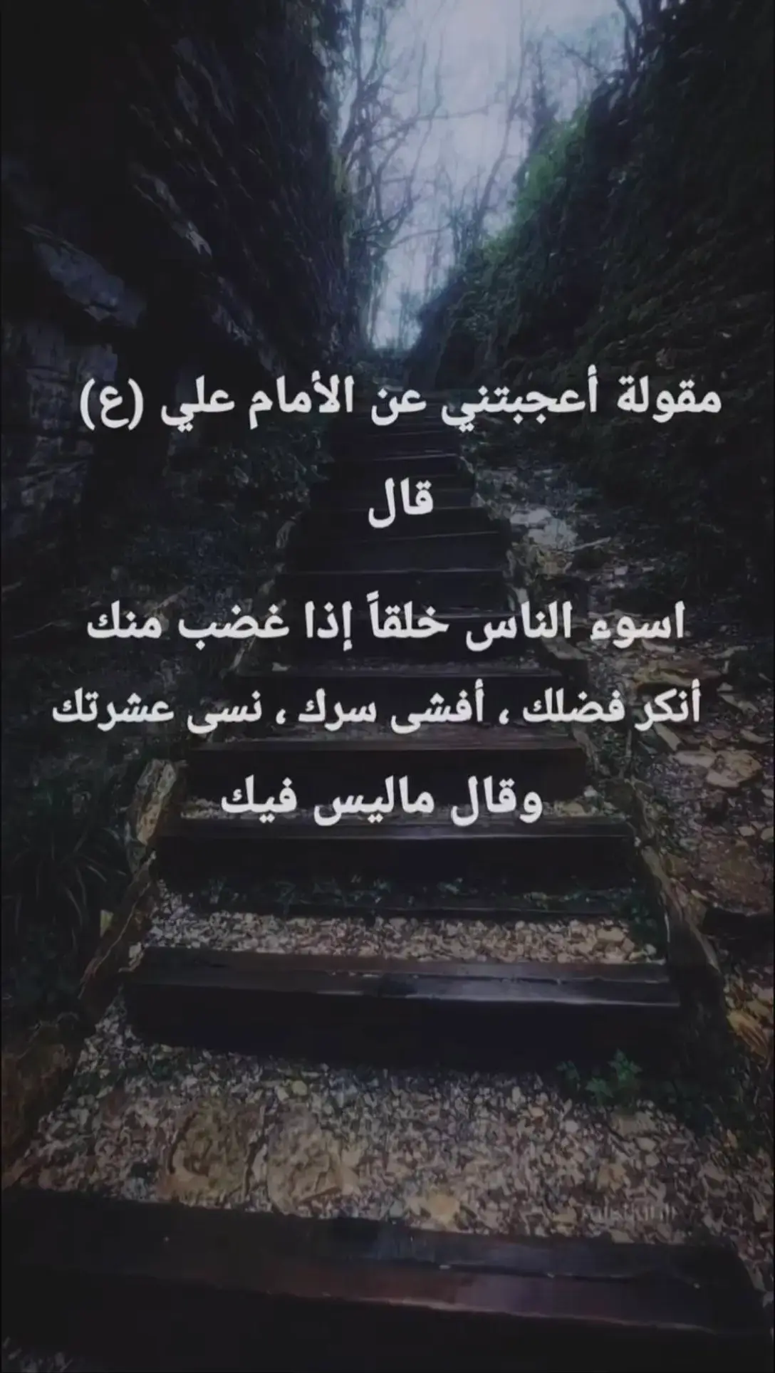 #صدقت_يامولاي_أميرالمؤمنين #السلام_عليك_يااميرالمومنيين_علي #دخيلك_ياعلي 