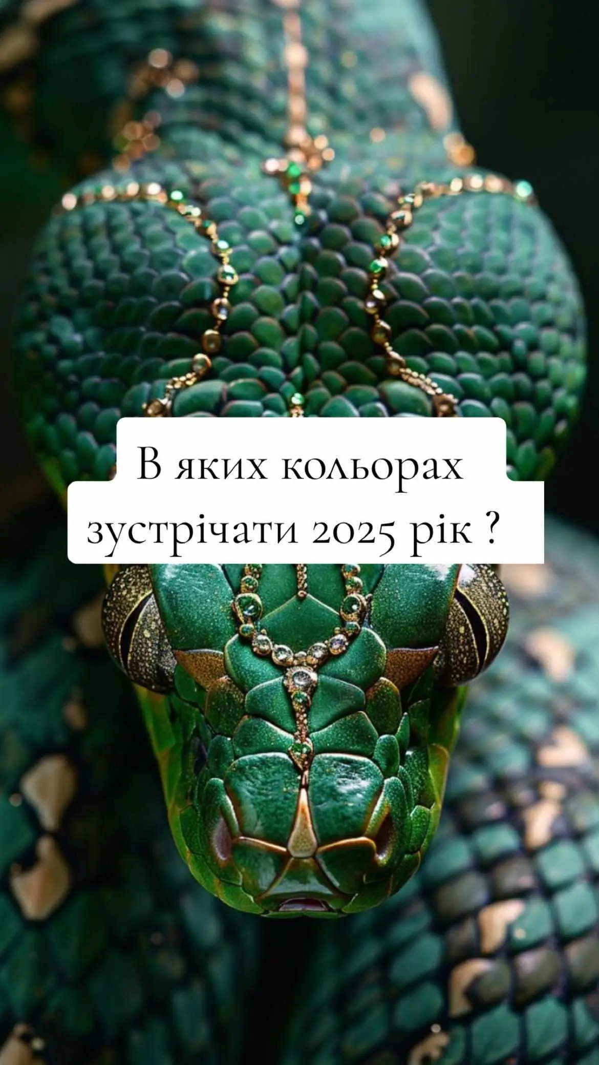 #новийрік #колірроку2025 #колір #нумеролог #матрицядолі #матрицядоліконсультації 