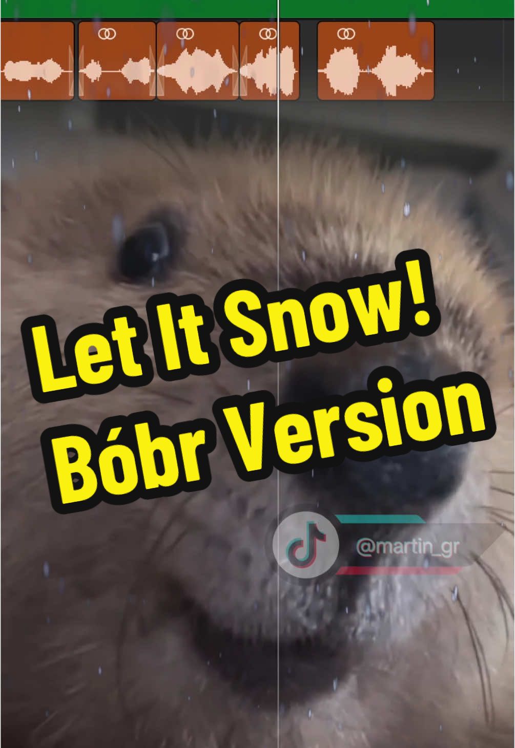 Let It Bóbr! #bobr #bober #christmas #xmas #memes #mashup #fyp #foryou #fypシ゚ #viral