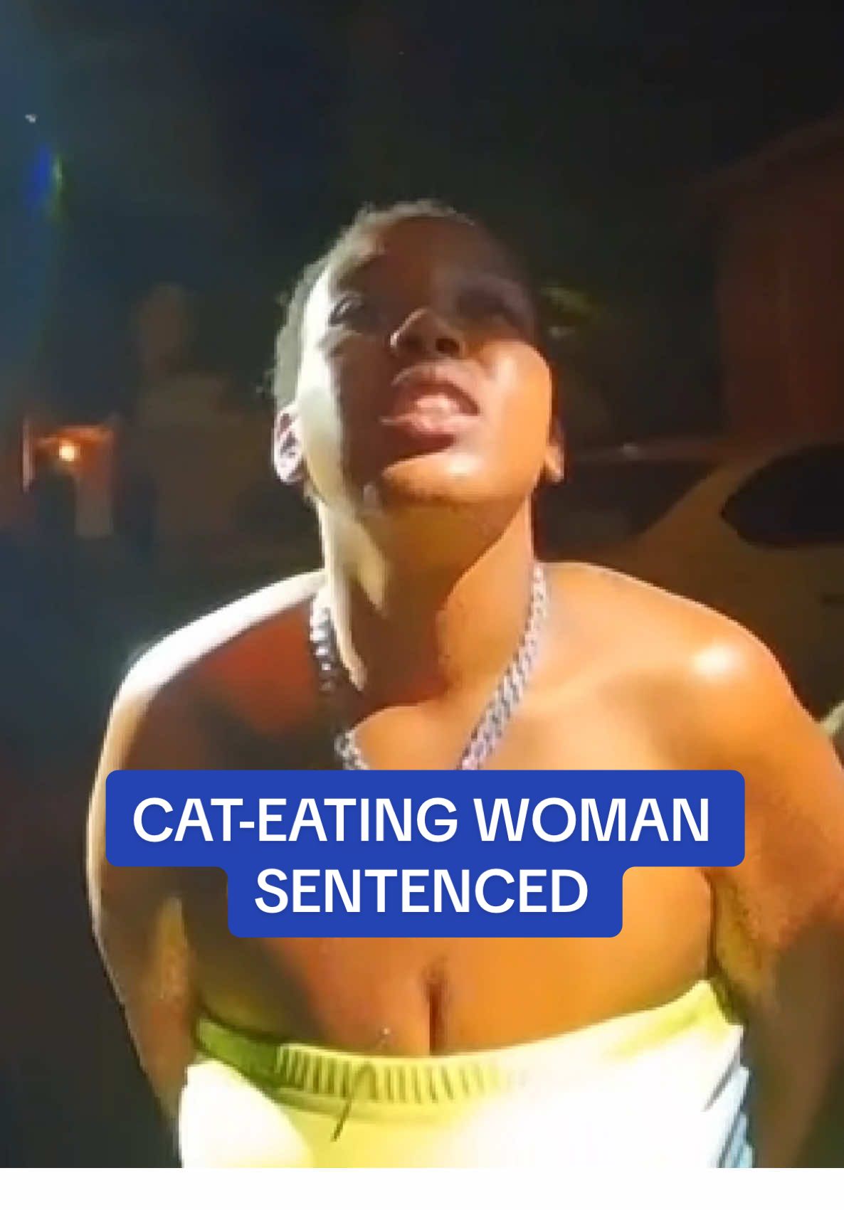 Allexis Ferrell who ate a cat in a viral video that fueled rumors of Haitian migrants eating pets was sentenced to one year in prison on Monday, as a judge hit out at her for the gruesome act. He concluded her trial by calling Ferrell a national embarrassment as he handed down his sentence, which she will serve consecutively with a separate 18 month sentence the mother-of-three was previously hit with for a 2019 theft and a child endangerment charge from last year. 'You’ve embarrassed this county,' he said. 'You’ve embarrassed this nation. More importantly, you’ve embarrassed yourself.' Read more at DailyMail.com  #cat #animals #court #trial #ohio #sentence 