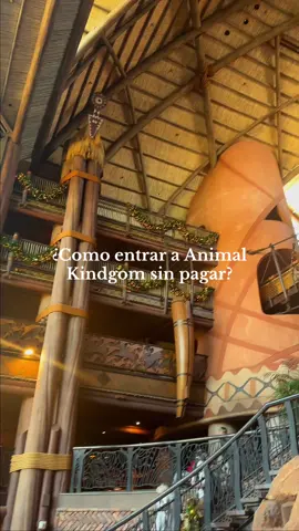 Aqui les traigo plancitos affordable en Disney, sin necesidad de entradas!  Espero poder ir a Boma prontito!! @Disney #disney #animalkingdom #disneytrip #trip 