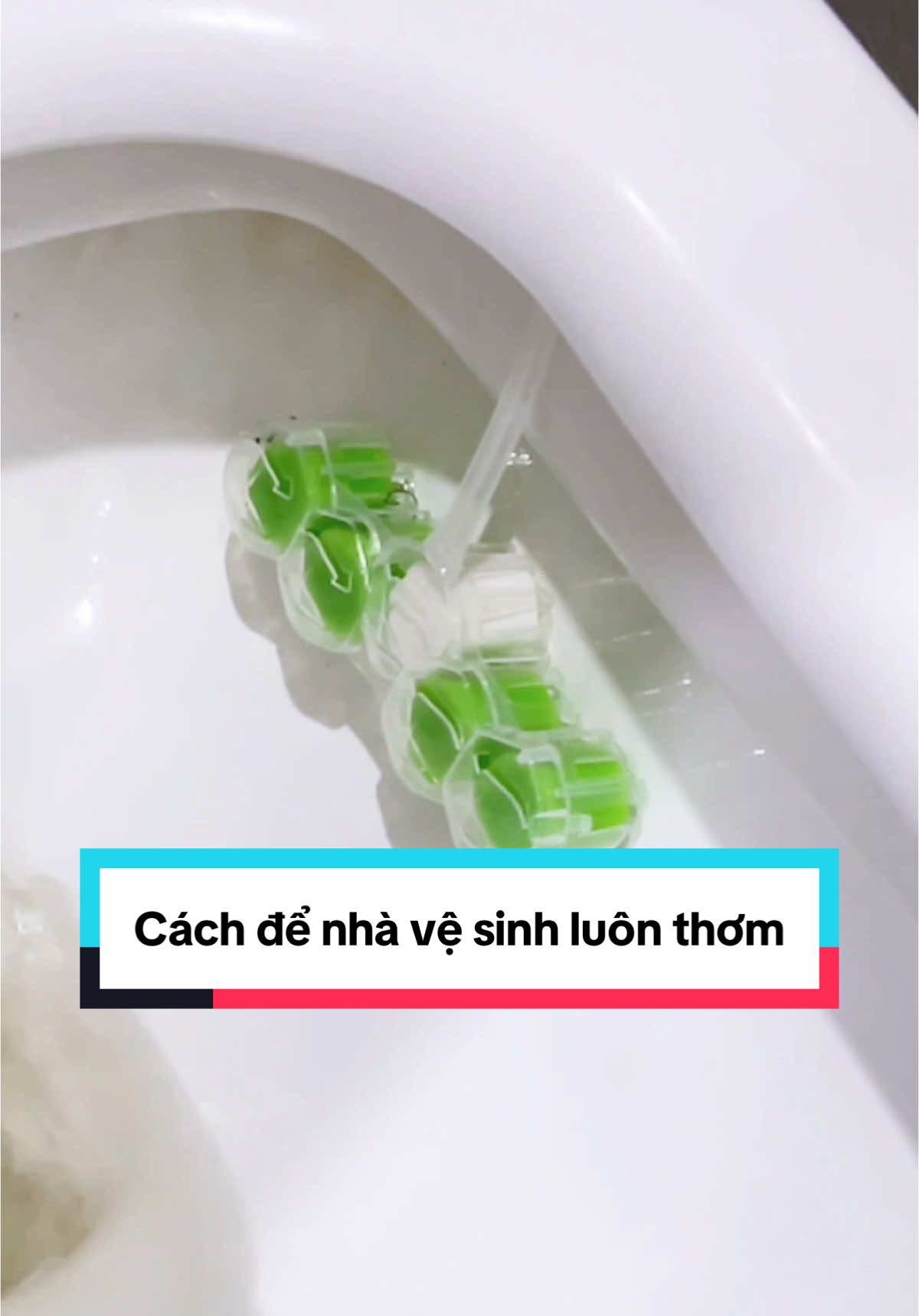 Viên treo vệ sinh bồn cầu lmf nhà vệ sinh thơm như khách sạn 5 sao??? #vientreoboncauvim #vientreoboncau #phuongtrinhreview 