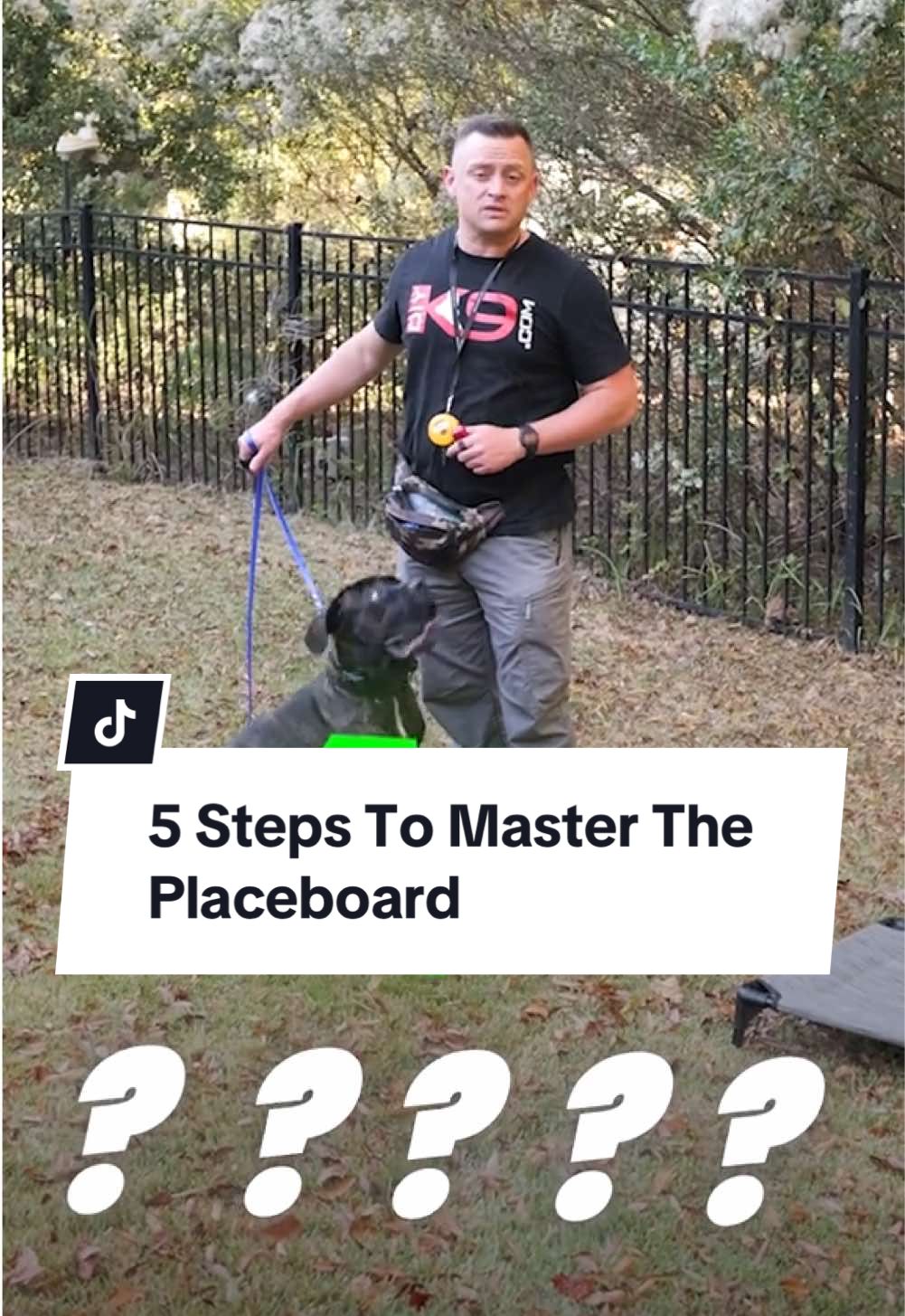 Struggling with place board training? Learn the 5 key steps to transform your dog’s obedience today! 🐾 1️⃣ Use food rewards to build engagement. 2️⃣ Master hand signals for precise communication. 3️⃣ Simplify with voice commands (but don’t overuse!). 4️⃣ Build reliability with leash guidance. 5️⃣ Properly condition the e-collar for hands-free control. Let us know what step your dog is on - in the comments! If you want to learn how to train your dog from Zero to Hero... Check out our FREE COURSE "DECODED" - LINK IN PROFILE #DogTraining #puppytraining #puppyfun #dogoftheday #puppytrainer #dogobediencetraining #balanceddogtraining #dogsaregreat #recall #puppytrain #k9trainer #dogobedience #dogbehavior #dogtrainingtips