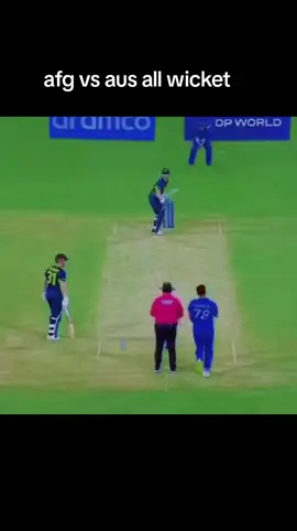 #afghan #atalan #cricket #worldcup #cricketlover #fifa #❤❤❤❤❤❤❤❤❤❤❤❤❤ 