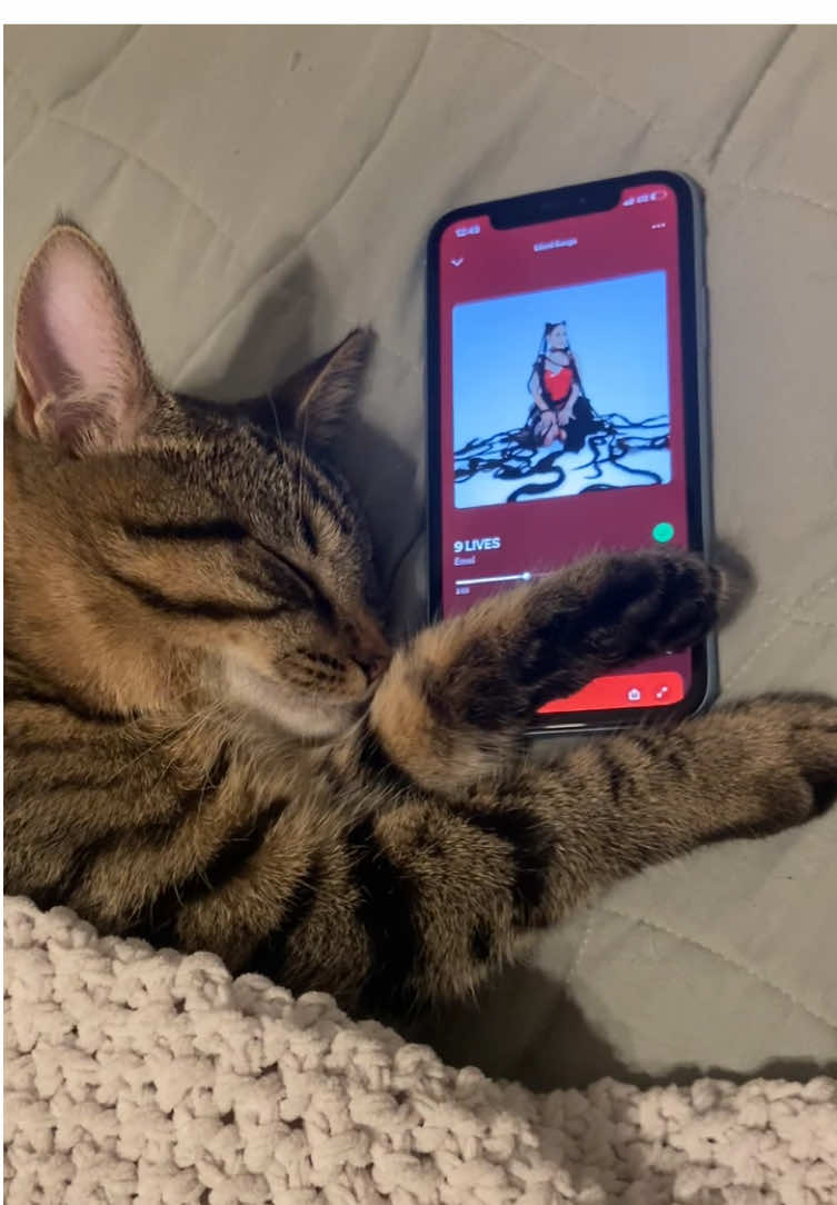 Rory’s newest addition to her playlist ❤️ @Emei #9lives #emei #spotify #music #cat #catsoftiktok 