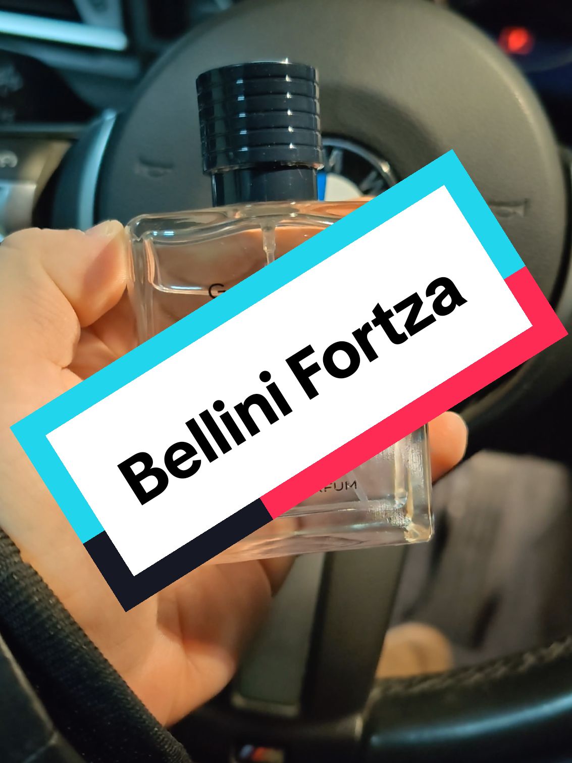 Cel mai smecher odorizant auto. #bmw #pipera #viral #bellini #fy #fyp #foryou #foryoupage #caterinca #haumiau #stiicezic #dododinpipera #dodo #2024 #invatapetiktok #tiktok 