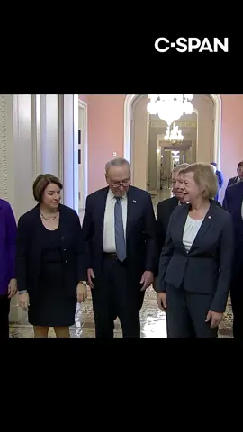 The Senate Democratic leadership team posed for photos Tuesday after the caucus held leadership elections, keeping Sen. Chuck Schumer (NY) as their chief.   Democrats also reelected Sen. Dick Durbin (IL) as their whip, elevated Sen. Amy Klobuchar (MN) to the No. 3 spot as chair of the Steering and Policy Committee, and promoted Sen. Cory Booker (NJ) to the No. 4 spot as chair of the Strategic Communications Committee.   Sens. Elizabeth Warren (MA) and Mark Warner (VA) will serve as caucus vice chairs, Sen. Bernie Sanders (I-VT) will be outreach chair, Sen. Tammy Baldwin (WI) will serve as conference secretary, Sen. Catherine Cortez Masto (NV) will be vice chair of outreach, and Sens. Brian Schatz (HI) and Chris Murphy (CT) will be deputy conference secretaries. #chuckschumer #senate #democrats #cspan 