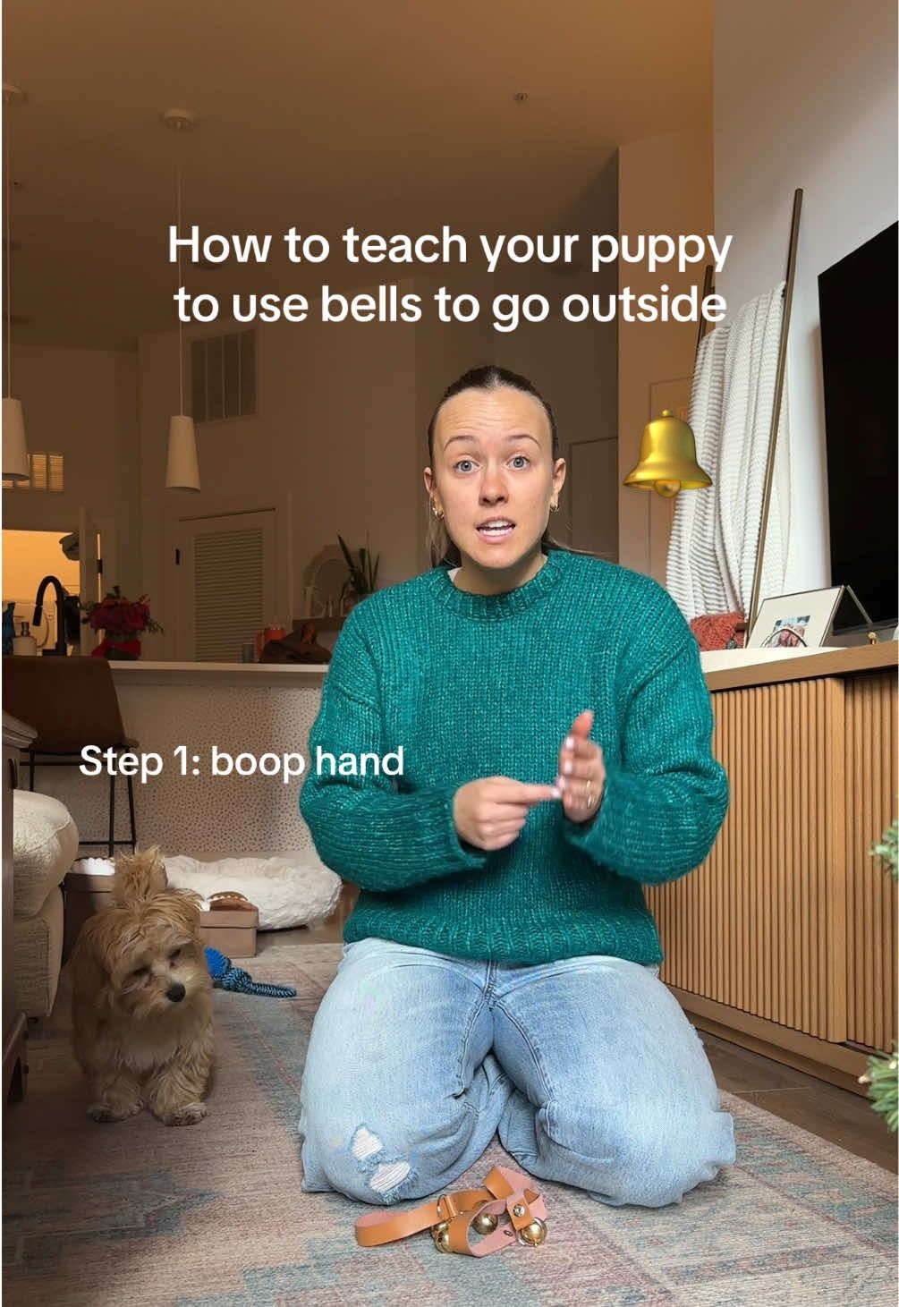 The key is to learn the skill in fragments, once they master a step move on to the next one! Oh and a freshpatch is an amazing add to this process if you live in an apartment like me! #usingbellstogotopotty #DogTraining  