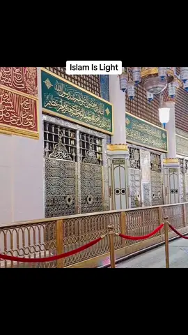 لج رکھ لئ وے لجپالا- #رسول_الله_صلى_الله_عليه_وسلم #مدینہ_منورہ #fyp 