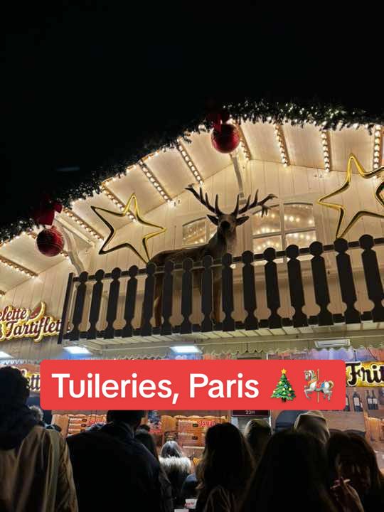 🎡🎠🎄 #tuileries #paris 