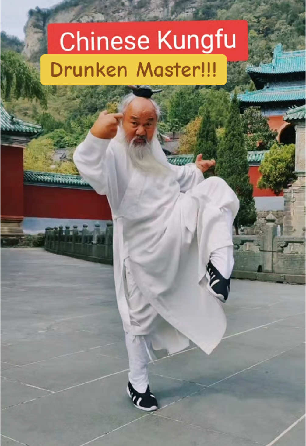 #kungfu #drunkenmaster #wudangkungfu #wudang #chinesemartialarts #chinesemartialarts #inspiration #motivation 