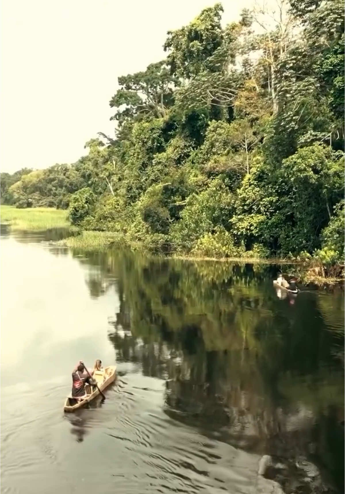 CAMEROUN ❤️🇨🇲  🎥: @ANNA • TRAVEL & ADVENTURE  #Cameroon #ExploreCameroon #VisitCameroon #CameroonNature #NaturePhotography #RainforestExploration #MountainViews #CameroonRainforest #MountCameroon #TropicalParadise #Cameroun #camerountiktok🇨🇲 #camerountiktok🇨🇲237🥰 #cameroun🇨🇲 