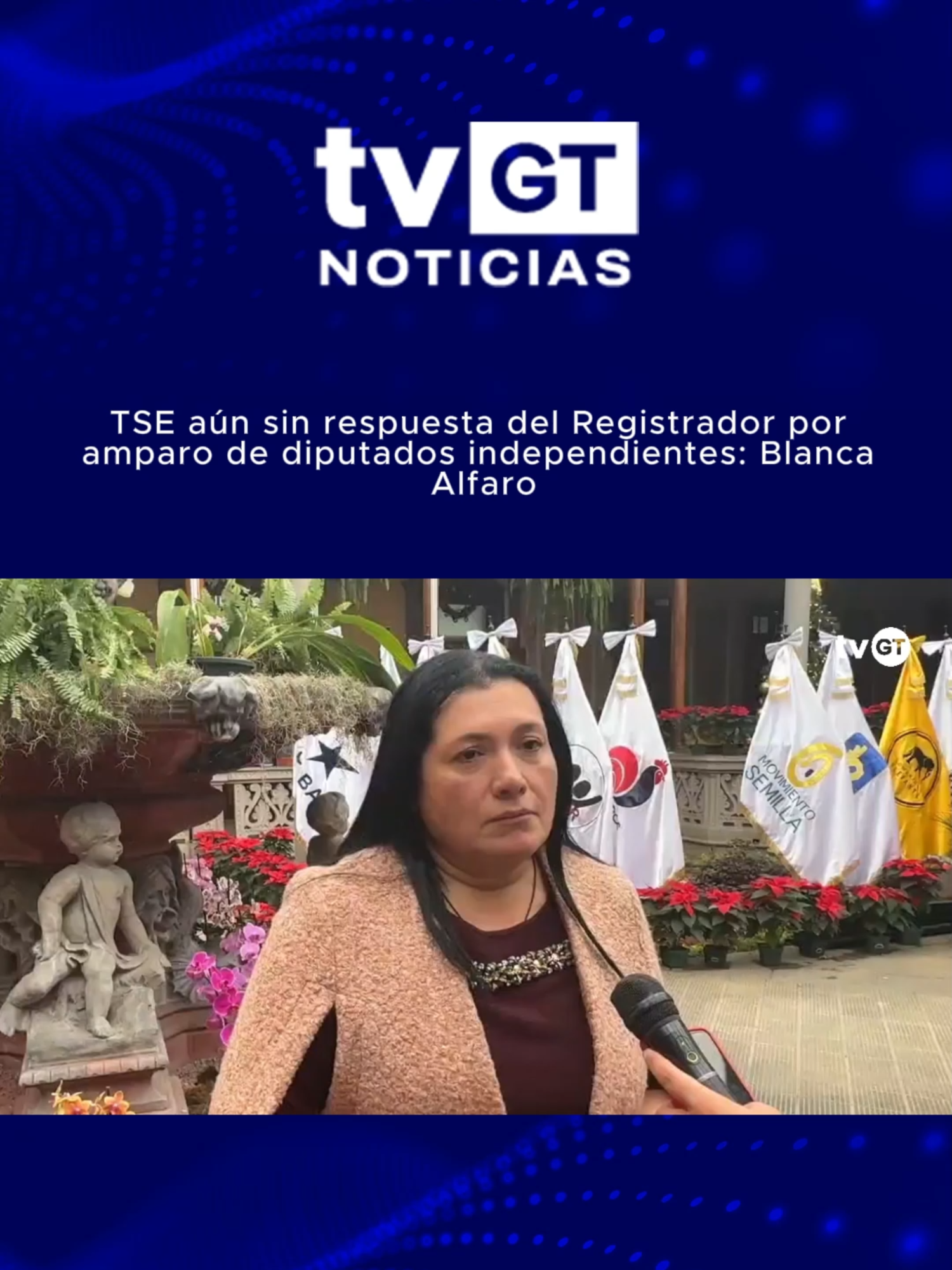 TSE aún sin respuesta del Registrador por amparo de diputados independientes: Blanca Alfaro. #tvgt #Guatemala #viraltiktokvideo #viral_video