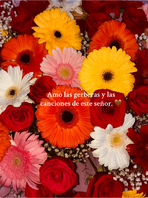 ❤️#flores #joansebastian #gerberas #viral_video #fyp 