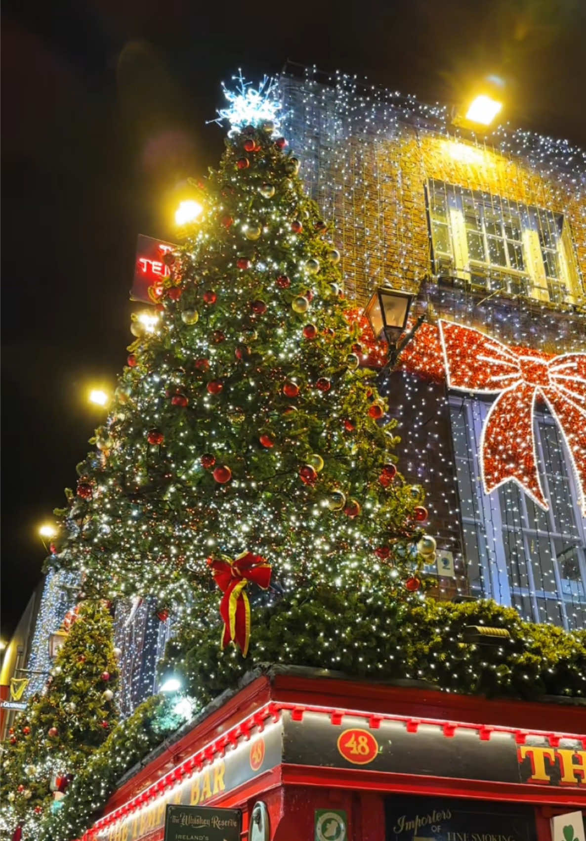 Is it even Christmas in Dublin without The Temple Bar’s magical glow? Come see the most festive pub in town! ✨🎄 #TheTempleBar #TempleBar #Dublin #Pub #LovinDublin #Tourism #Ireland #TempleBarPub #ChristmasInDublin #FestiveVibes #IrishTradition #VisitDublin #HolidaySeason #WinterMagic #IrishPubs #DublinChristmas