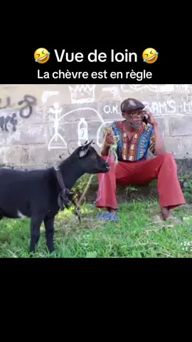 Vue de loin: La chevre est en règle 🤣🤣 #comedie #congo #lingala #vuedeloin 