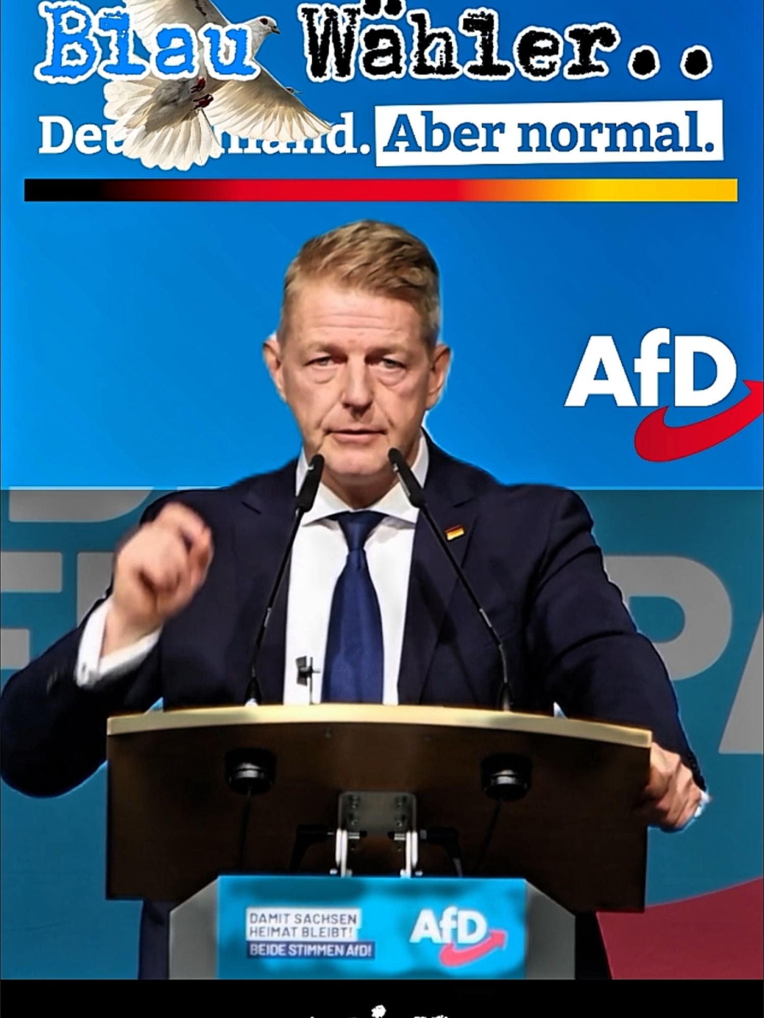 #KarstenHilse #AFD #Bundestagswahl  #yt@KarstenHilse