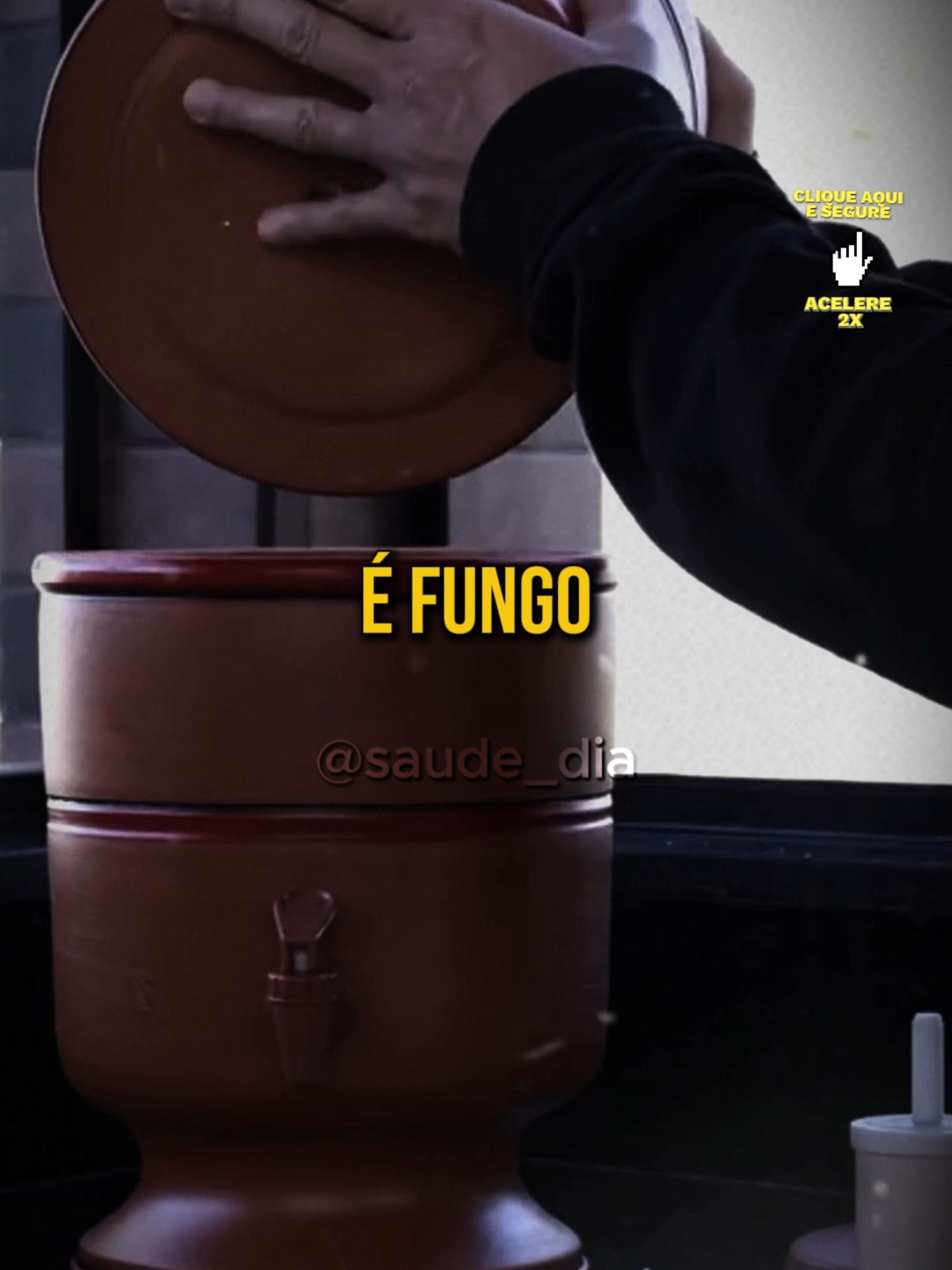 USE FILTRO DE BARRO by Dra. Priscila Antunes (Médica) 🎥Nutrição e medicina para uma vida mais saudável | Dra. Priscila Antunes | Doctor's TV #filtro #de #barro #saude #filtrodebarro