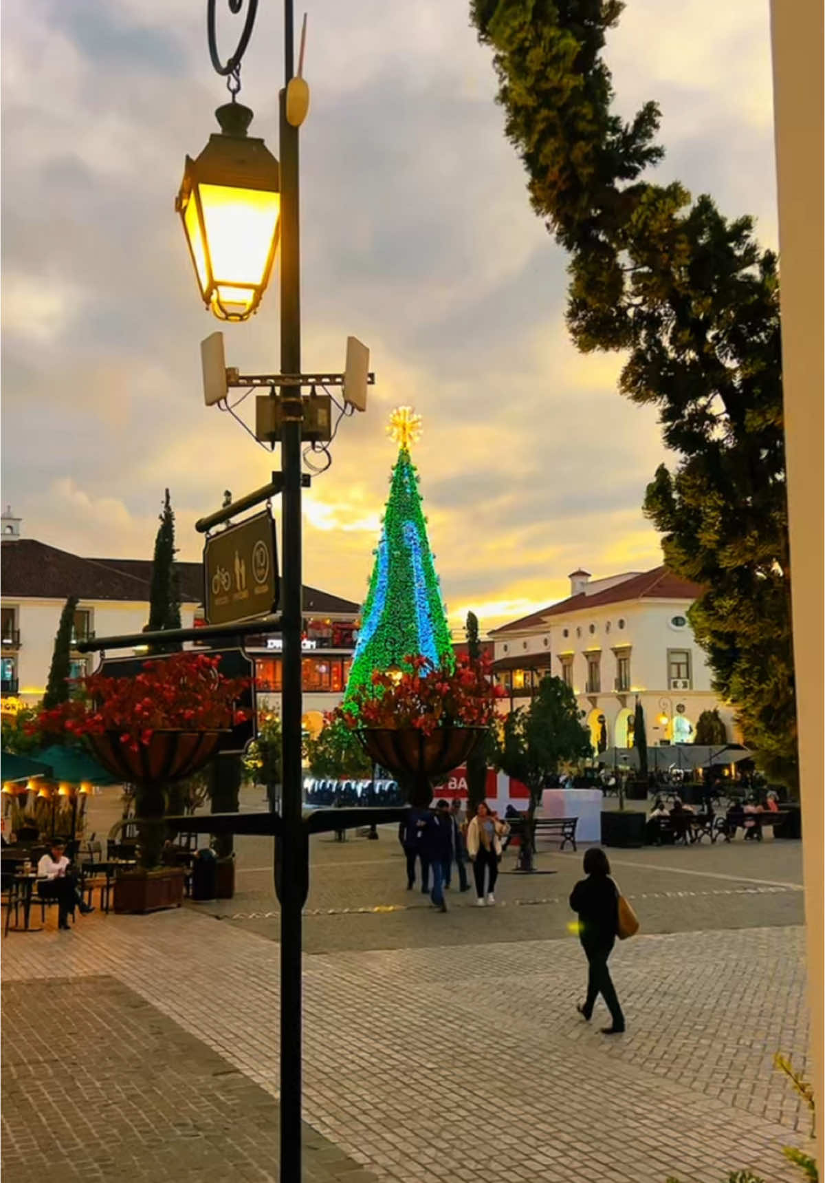 No es Europa!! Es Guatemala…. #guate #guatemala #navidad #christmas #video #viral #videoviral #yosoychapin #ciudadcayala #cayala #ciudad #guatemala🇬🇹viaja #viajar #viajando #vacaciones #travel #vacation 