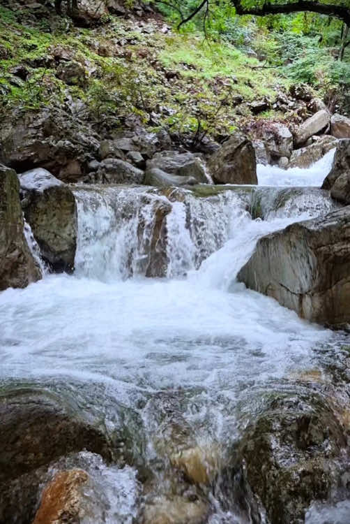 Calm valley 🪨💦 #naturevibes #nature #valley #forest #calm #calmdown #relax #livewallpaper #koreatravel #yongmunsan #용문산관광단지 #용문산계곡 #용문사계곡 #용문산 #용문사 