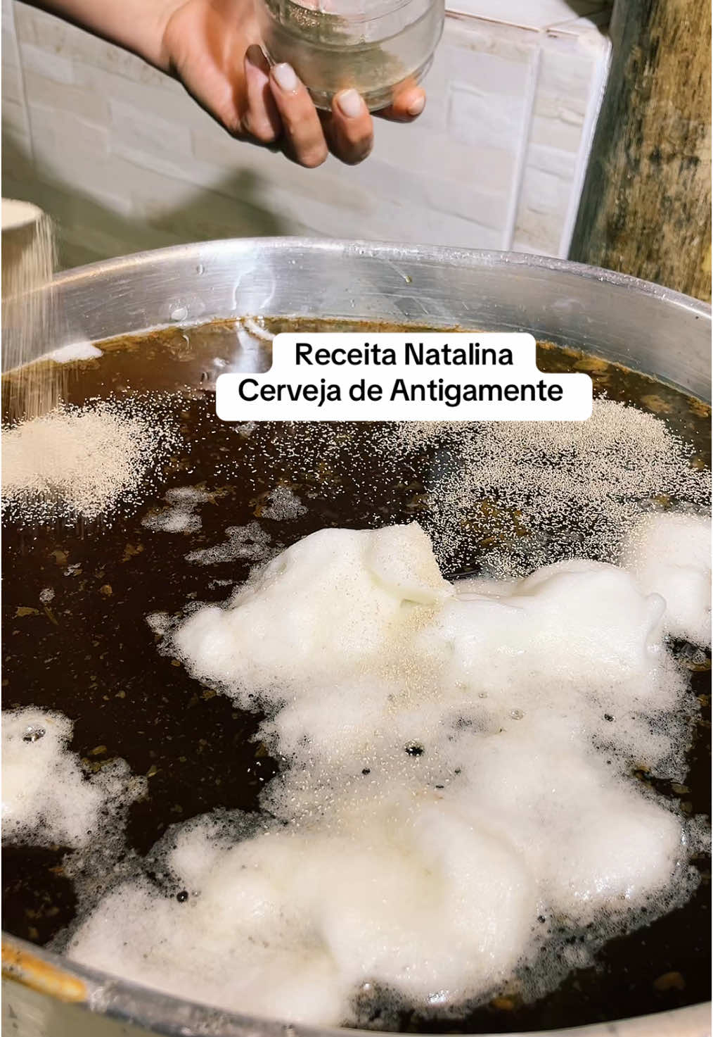 #receita#reeitafacil#receitasimples#cerveja#artesanal#natal#dicas#fyp #fouryou #viral_video #viraliza#viral_video#tik_tok#traditional#anosatrás#infancia