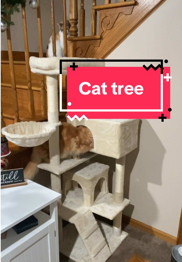 How many cats do you spot?😂😂 I didn’t even have this thing halfway built before the one was using it and the other didn’t wanna get off of it when i was moving it😂 #cattree #catsoftiktok #cat #inwiththenew #outwiththeold #christmas #gift #special 