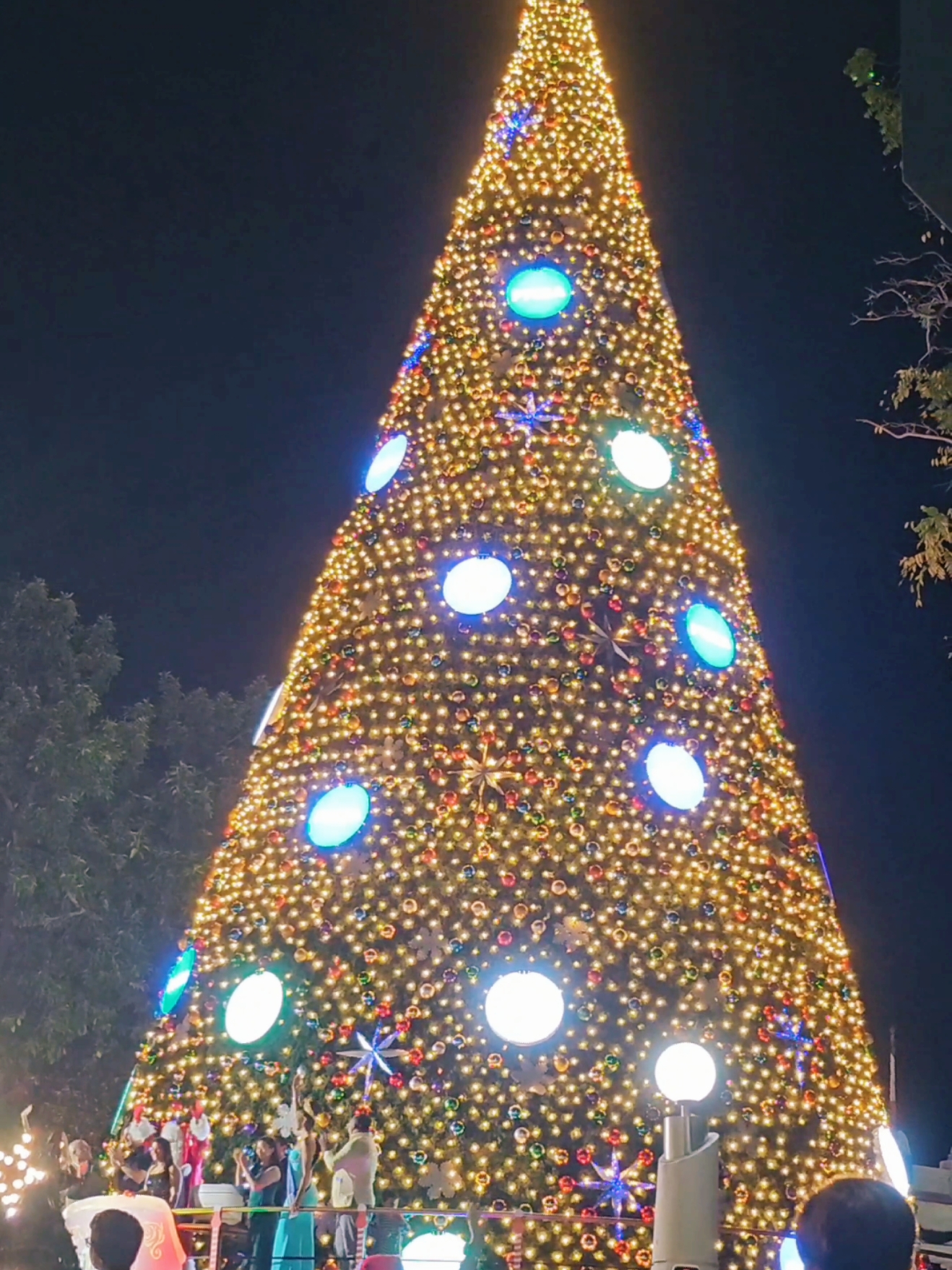 Encendida del Árbol #malecon  hoy 3 de Diciembre del 2024 🎄🎉❤️ #SportJames #malecon2000 #arboldenavidad 