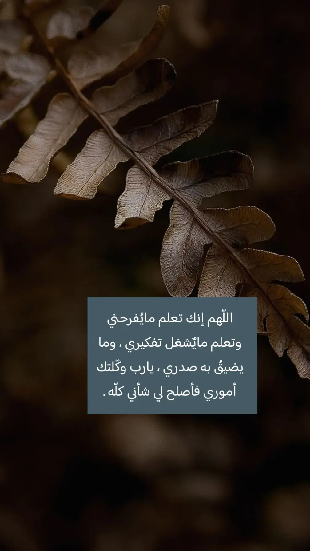 #اللهم_صلي_على_نبينا_محمد #أذكروا_اللــه #اَسْتَغْفِرُاللّٰه 