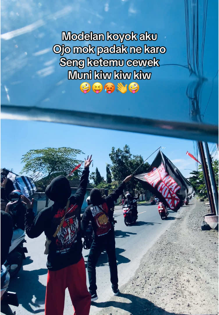 Jijik.#fypシ #santapnbanyuwangi 