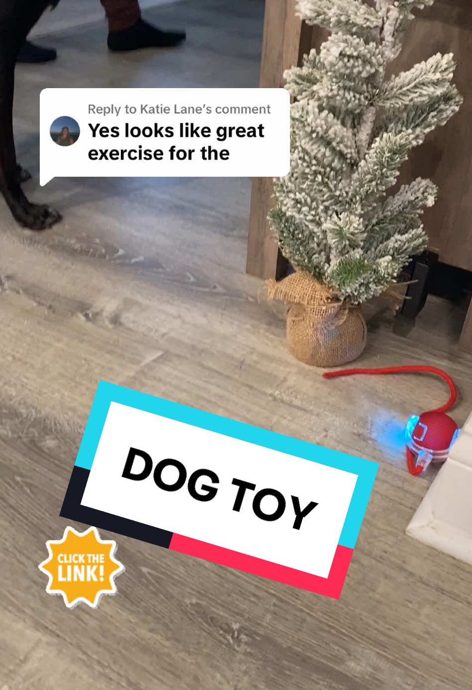 Replying to @Katie Lane the dog toy is a great exercise for  your furry pets. #dogtoy #dogtoys #dogtoysoftiktok @Flowpaws #favoritedogtoy 