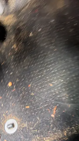 @The Rag Company ultra air blaster in action . Ive been using this tool now for over a year and not once has it quit on me or the bearings gotten stuck. All i do for maintenance is oil the bearings once a week with air tool lube and it just keeps working . I detail at a used car lot and over 75% of the vehicles i detail are disater details so this tool gets abused . Cant eait to try therr new updated version 2 . They claim the new version is even more powerful and you can take the bearing device out to clean it or replace it 