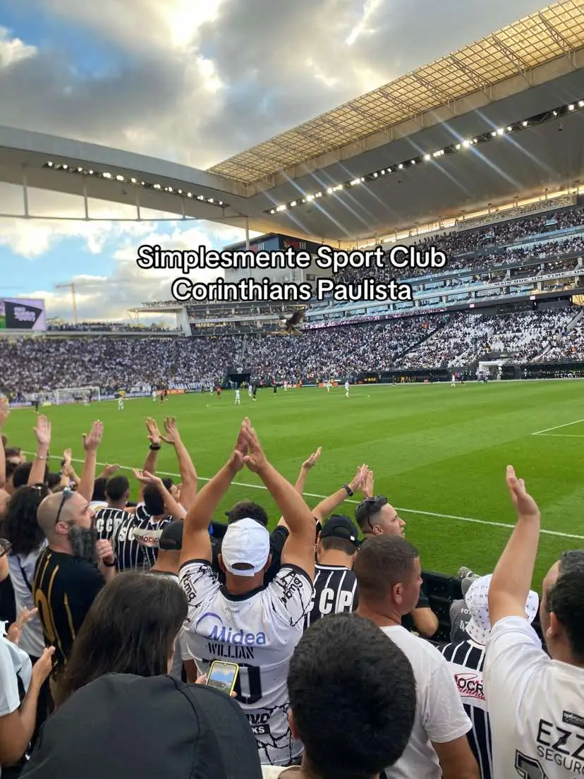 Como é bom ser Corinthians  #corinthians #brasileirao #libertadores #garro 